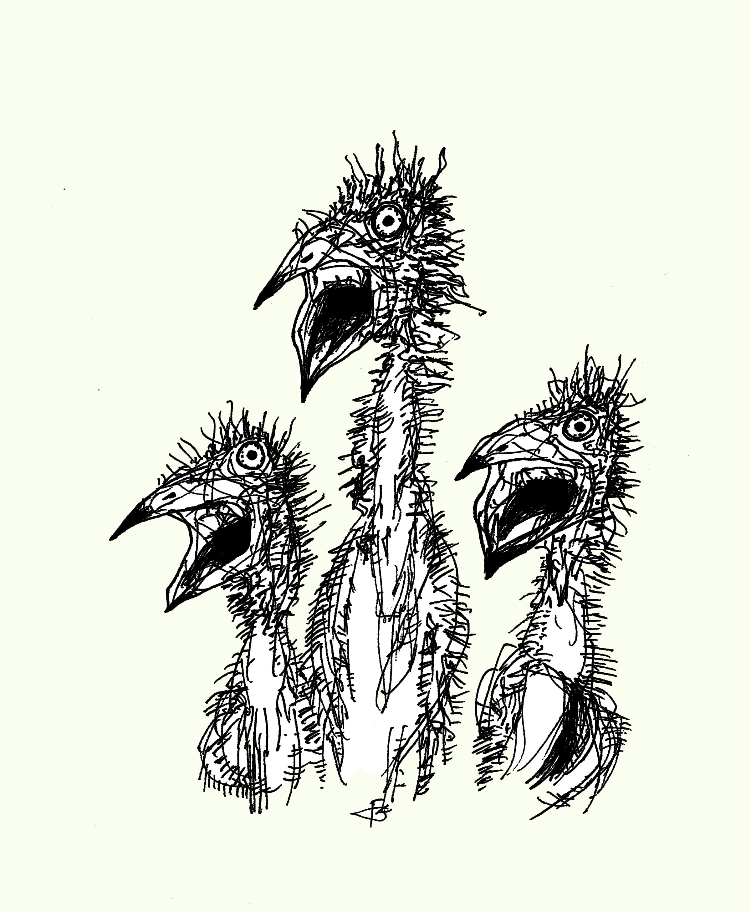 An abstract ink illustration of a mysterious 3 birds creatures, focusing on dense line work and expressive textures.