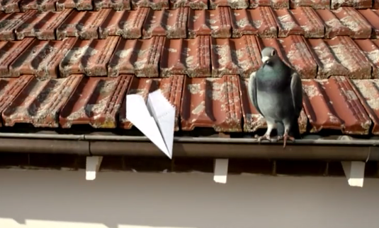 Screen Shot 2017-03-07 at 4.41.55 pm.png