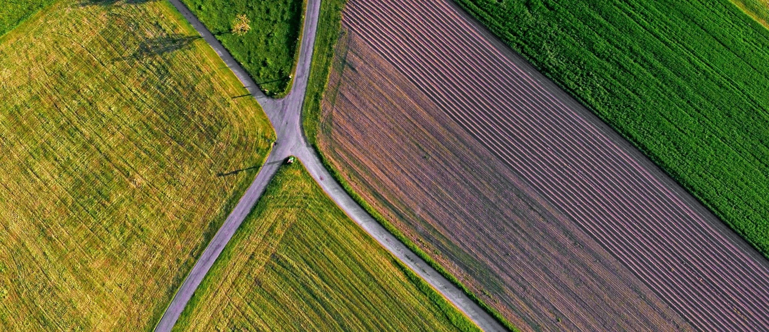 unsplash-image-TbwnUGV4kok.jpg