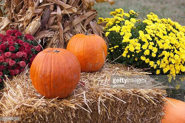 Photo by genxtek/iStock / Getty Images