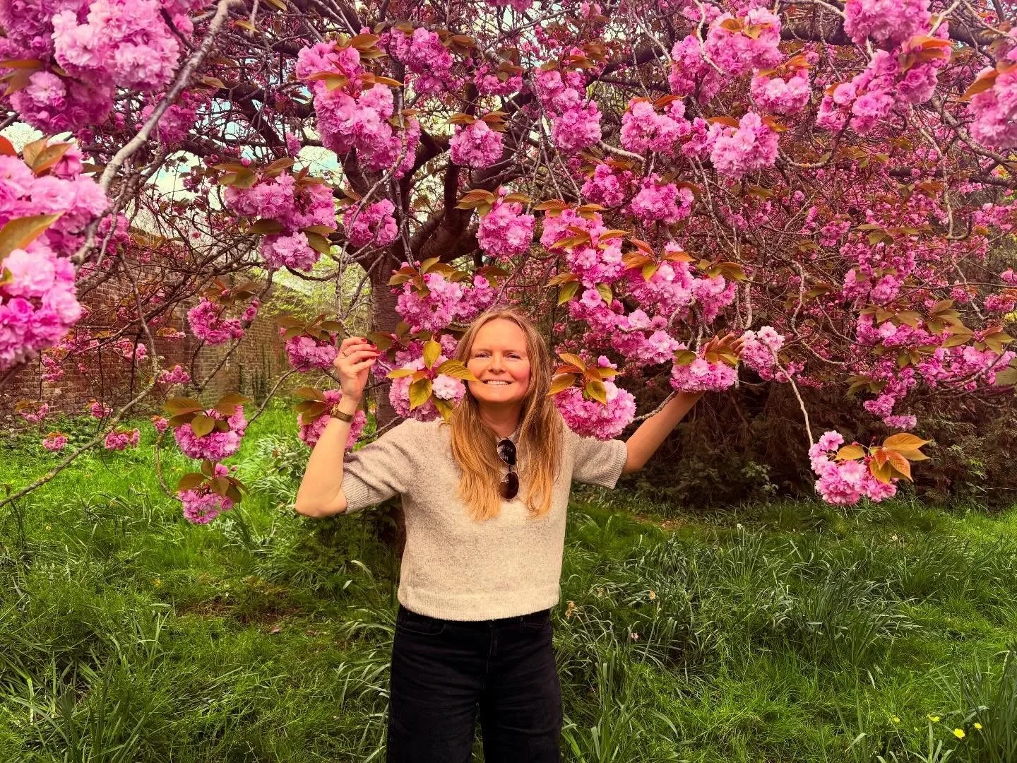 Cherry blossom ladies 🌸