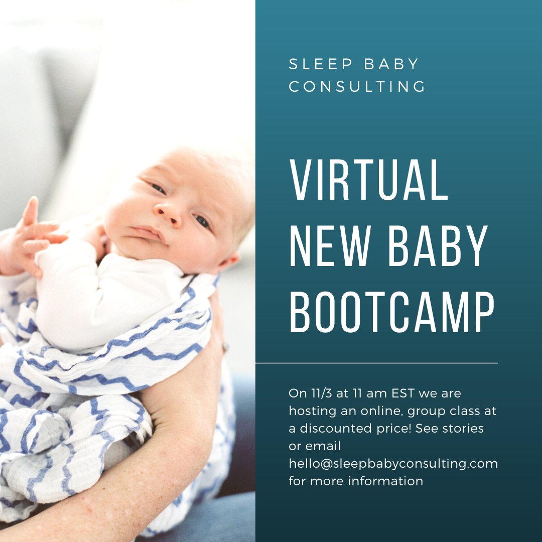 Virtual New Baby Bootcamp Class 11.3