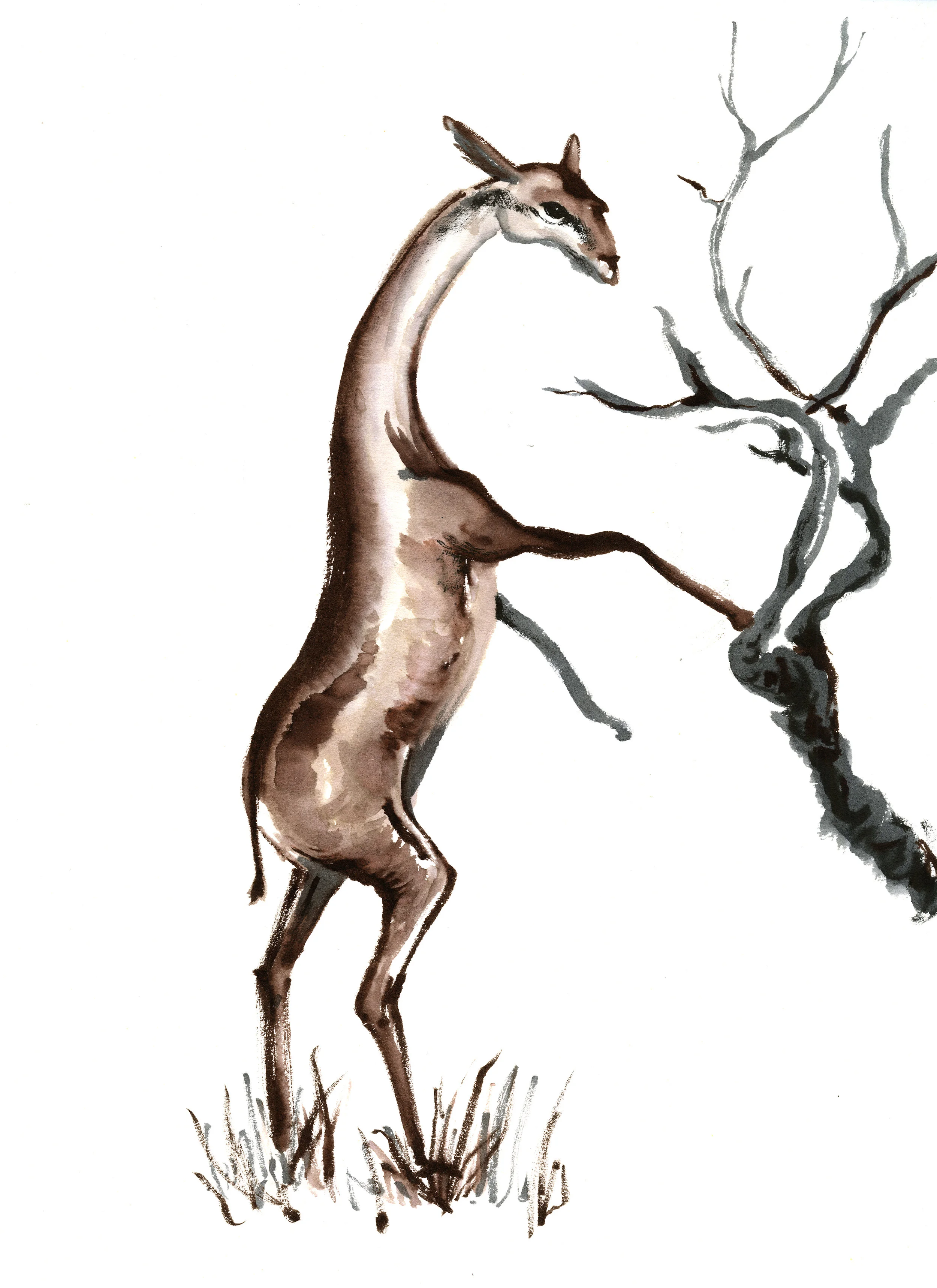 sketch001-.jpg