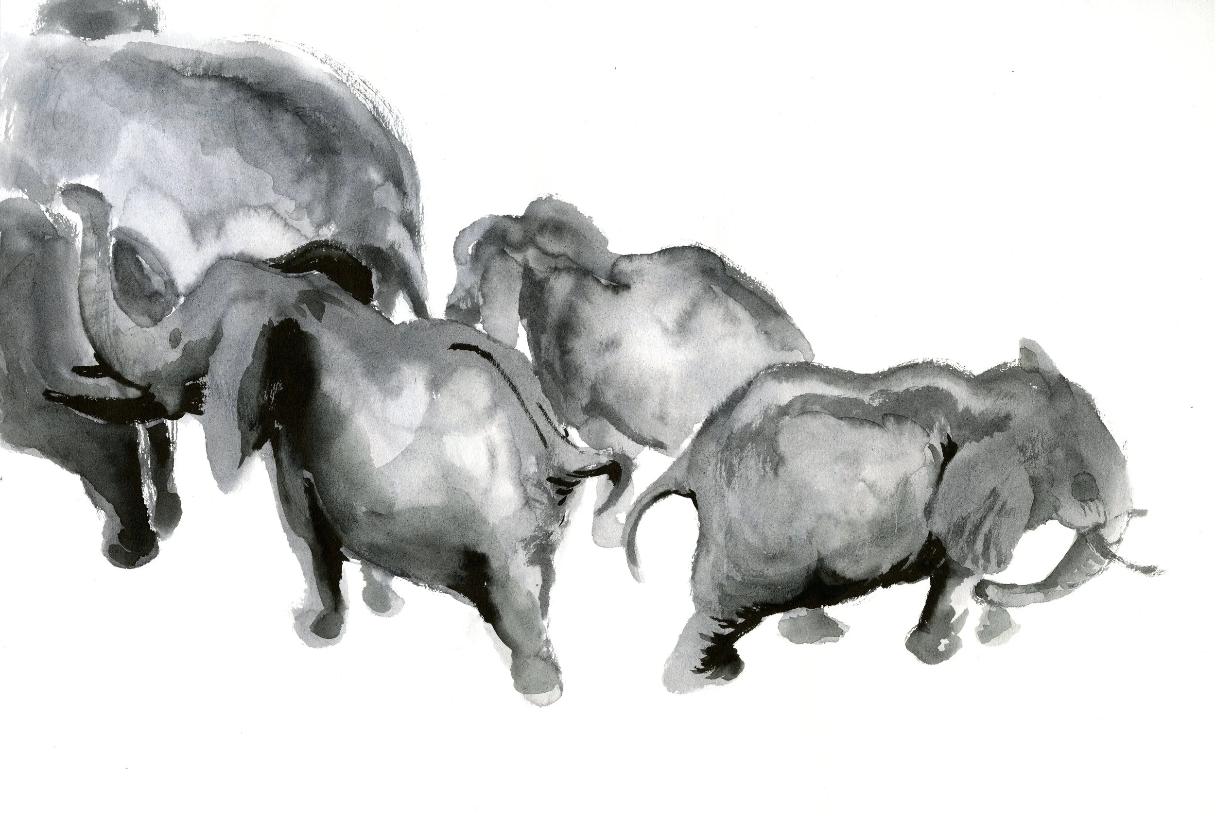 sketch003-.jpg