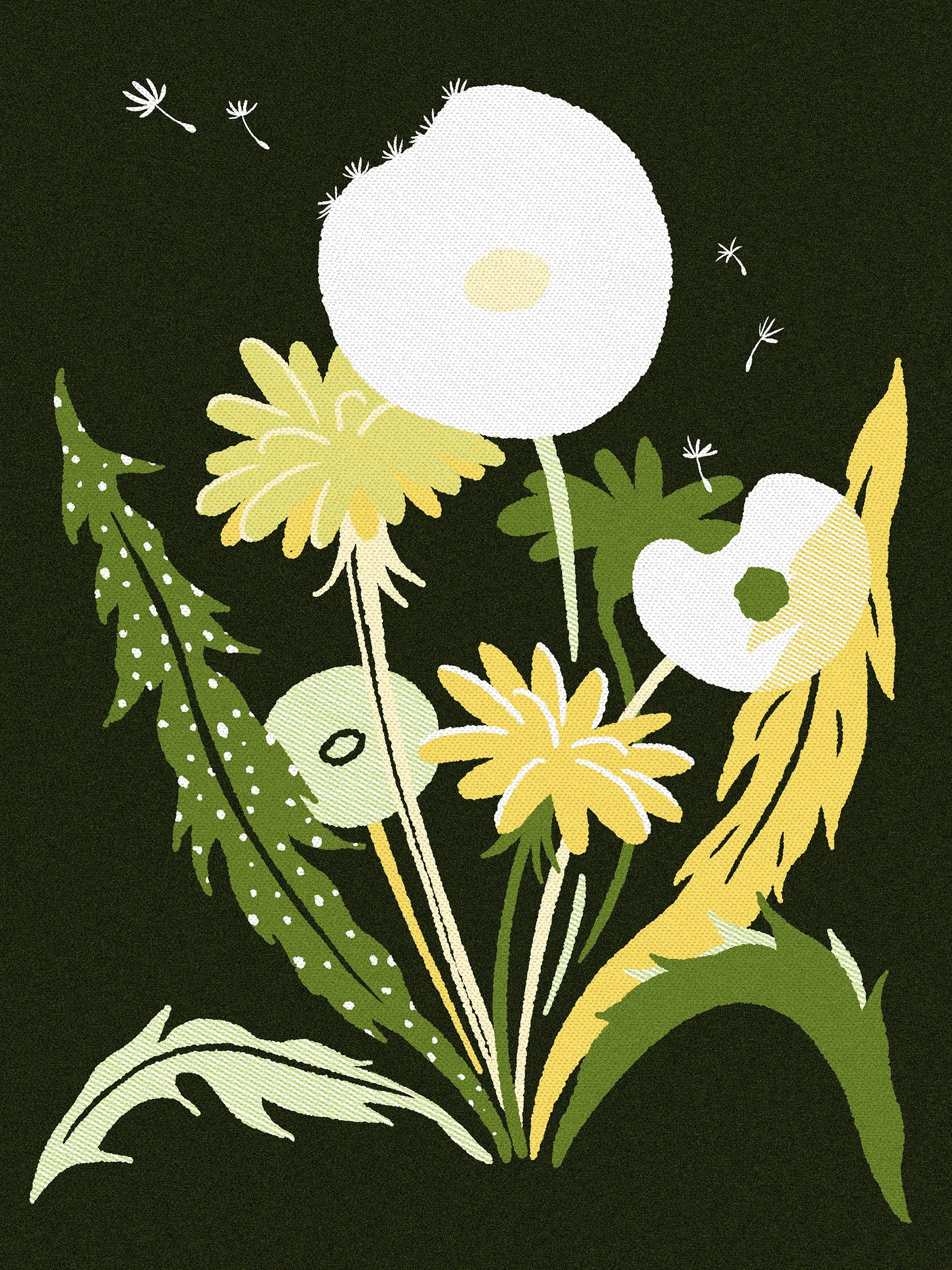Dandelion-small.jpg