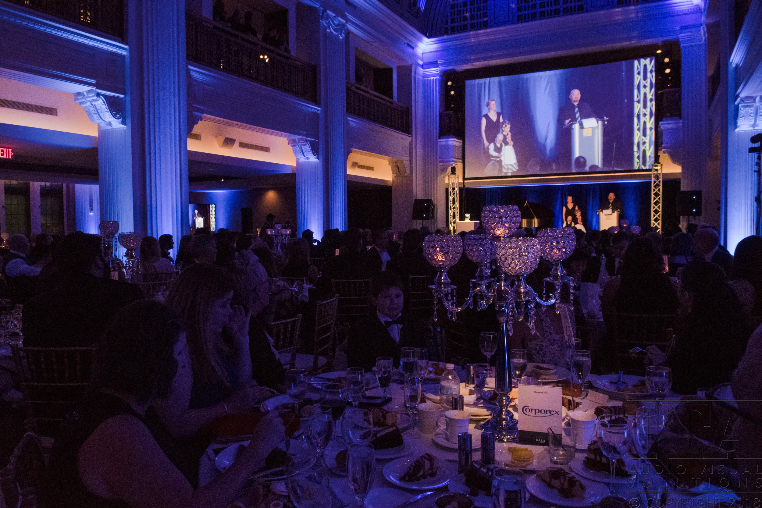 tdf-gala18-hartongm517.jpg