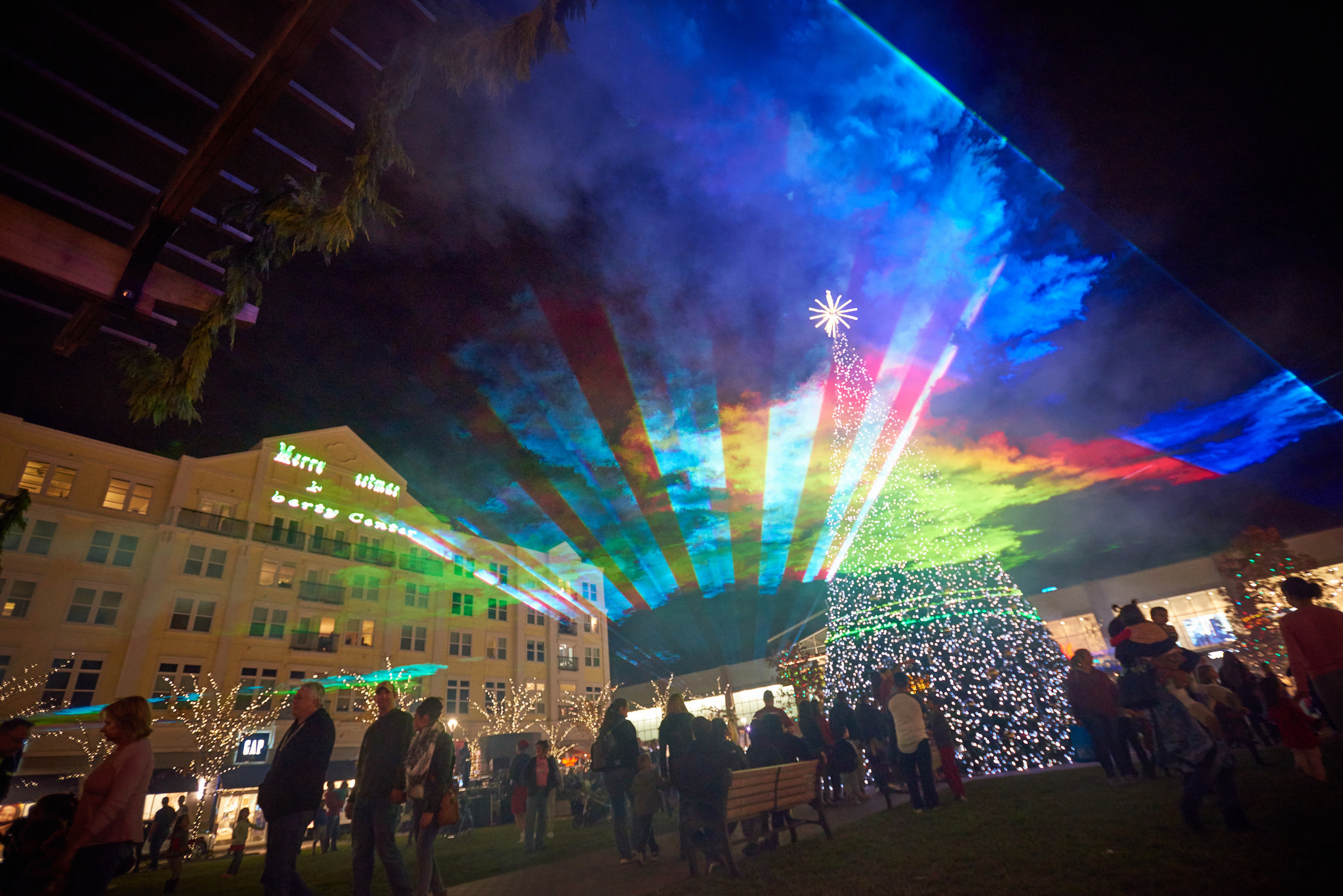 LibCenter Xmas - Lights and tree.jpg