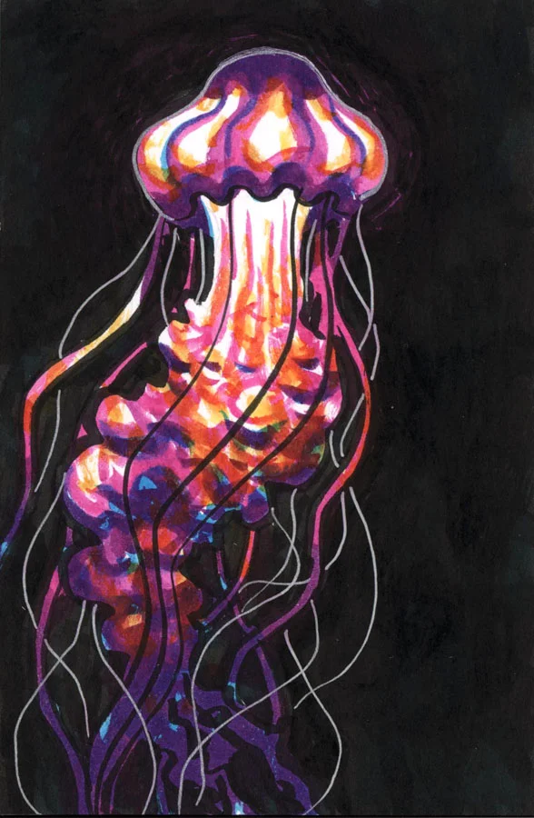 jellyfish.jpg