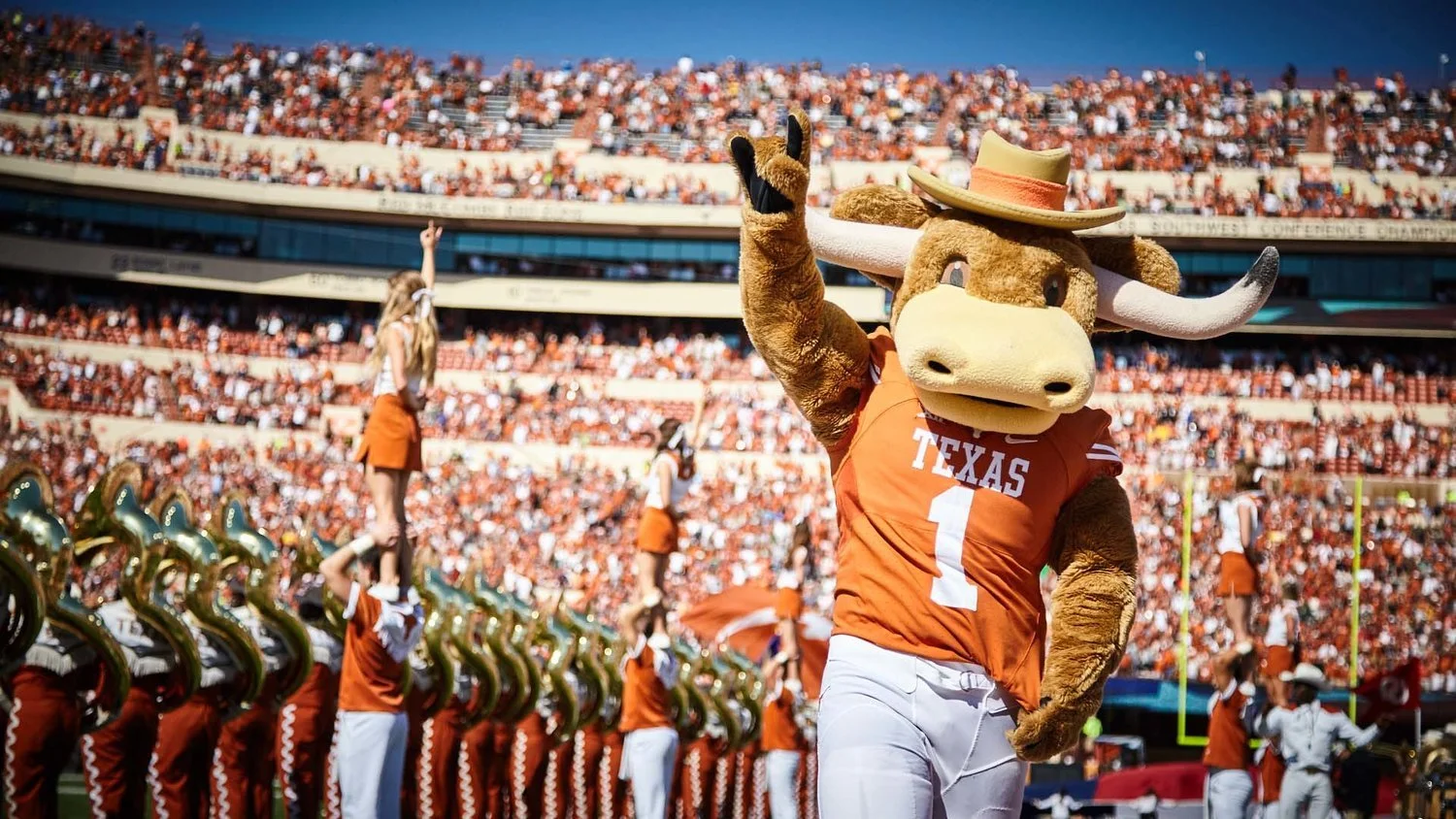 Bevo for Texas Longhorns