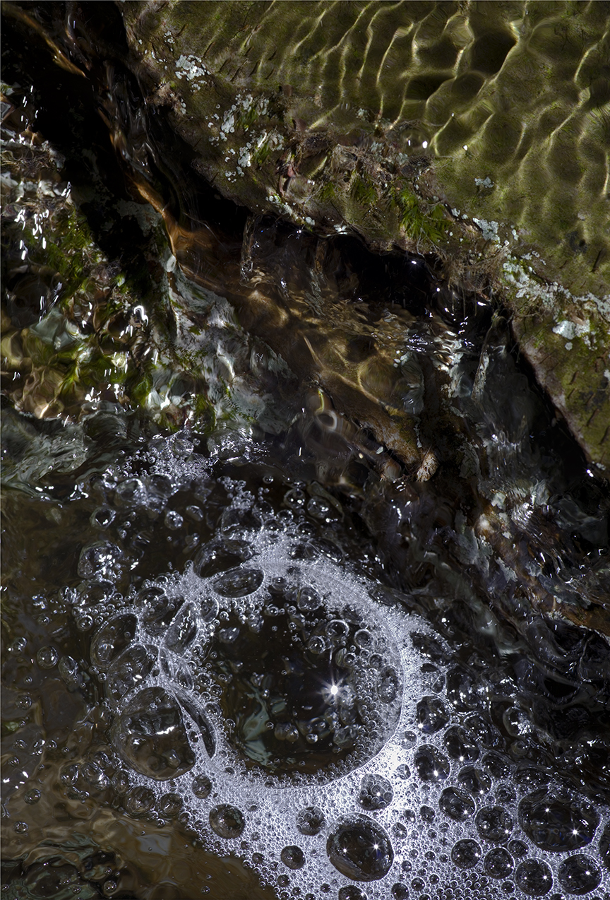 Gallery II - Taughannock Creek