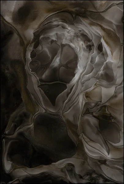 The Shroud (8 3/8 x 12 3/8") 85.