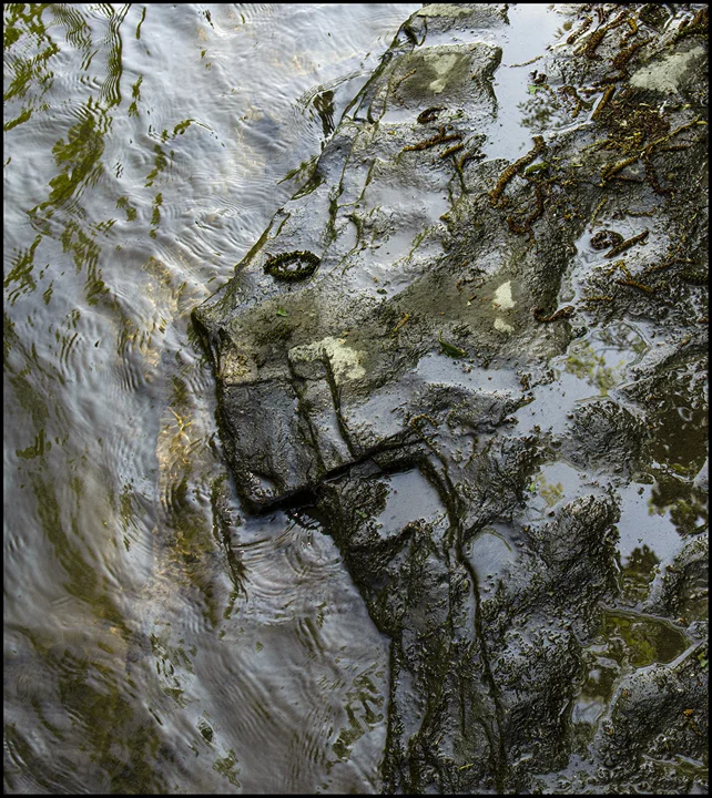 Photograph made at Taughannock Creek by F. L.