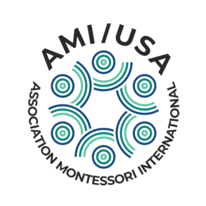 AMI.USA.logo.png