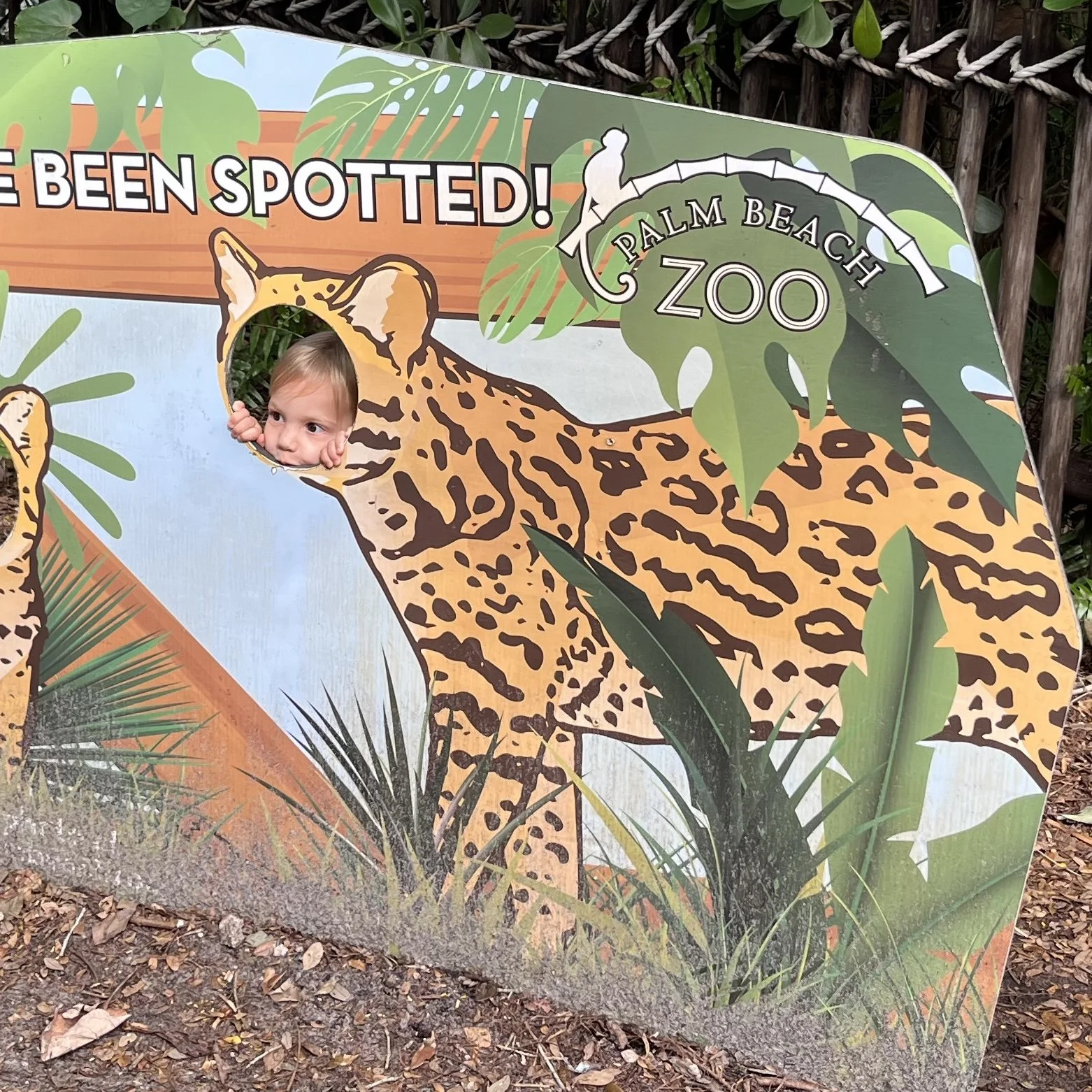 Ragnar at the zoo