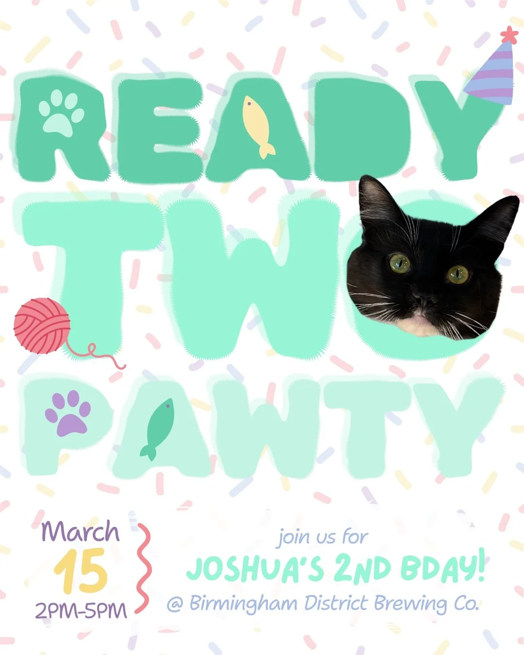 Joshua's Birthday Party with Saint Gertrude Rescue! 