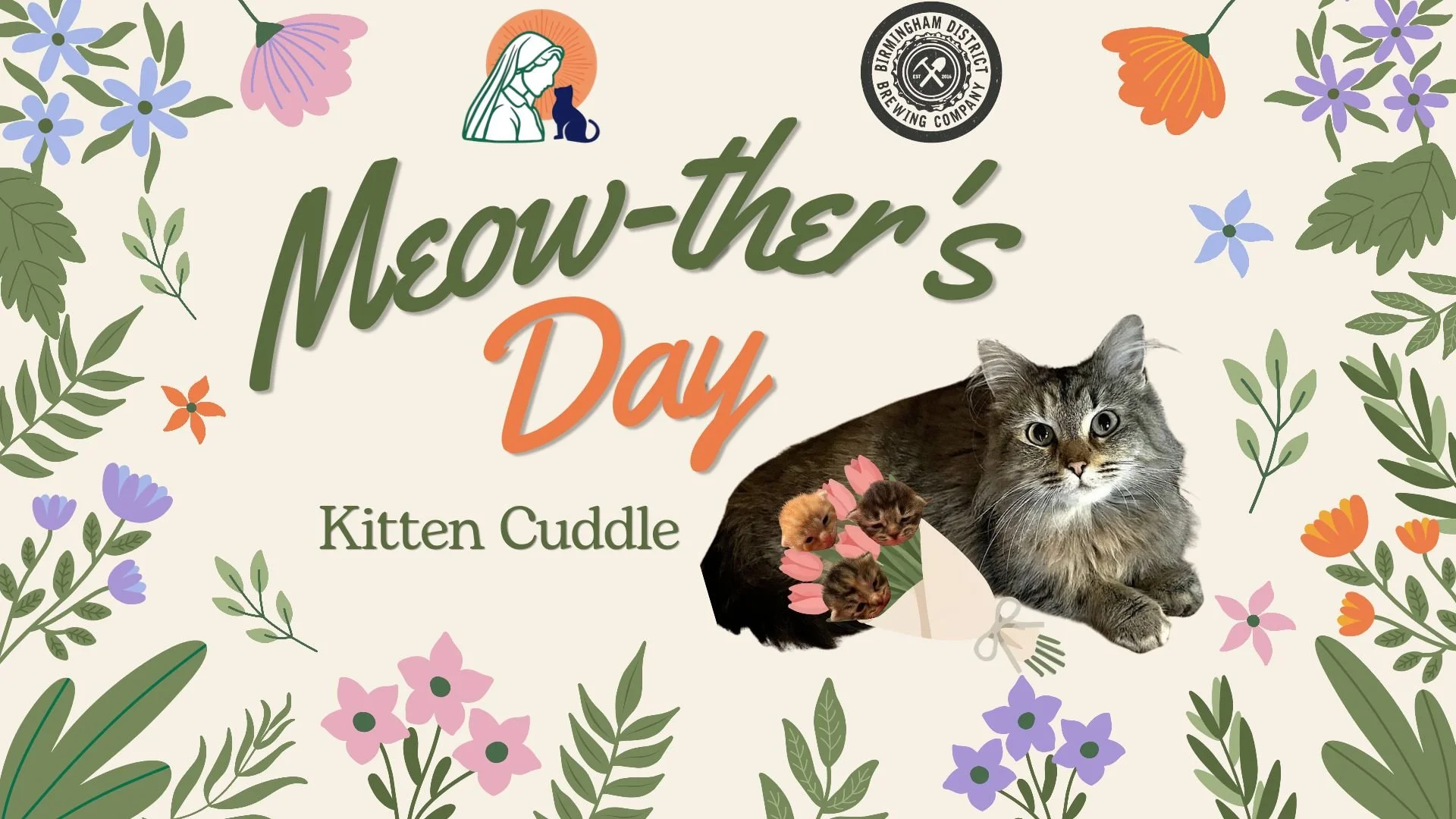 Kitten Cuddle!