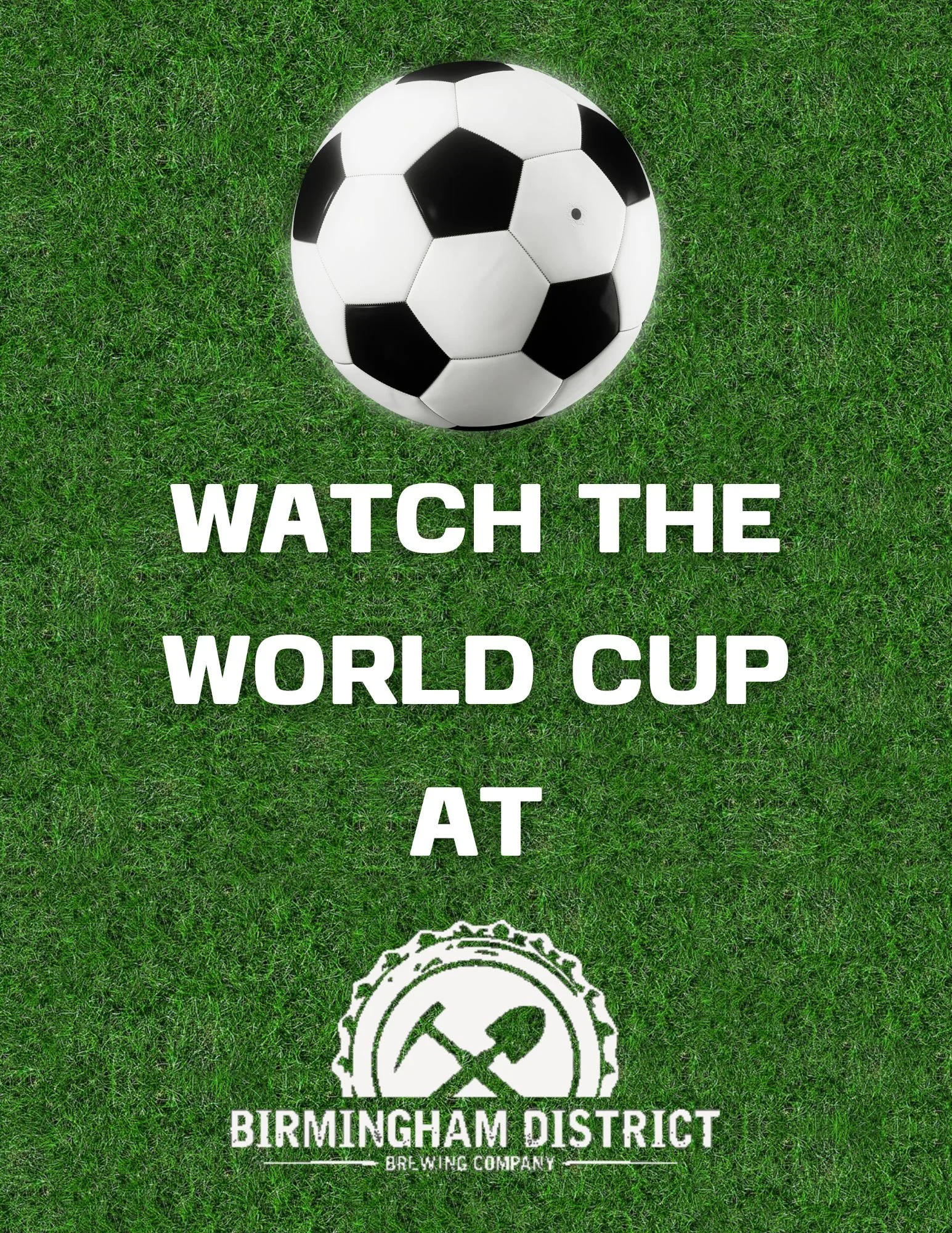 worl cup.jpg