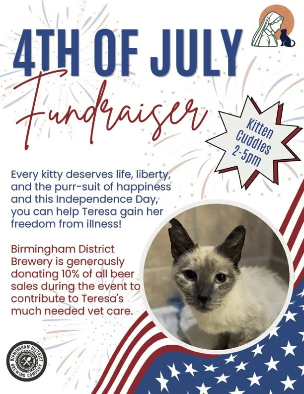 4th of July Fundraiser Flyer.jpg