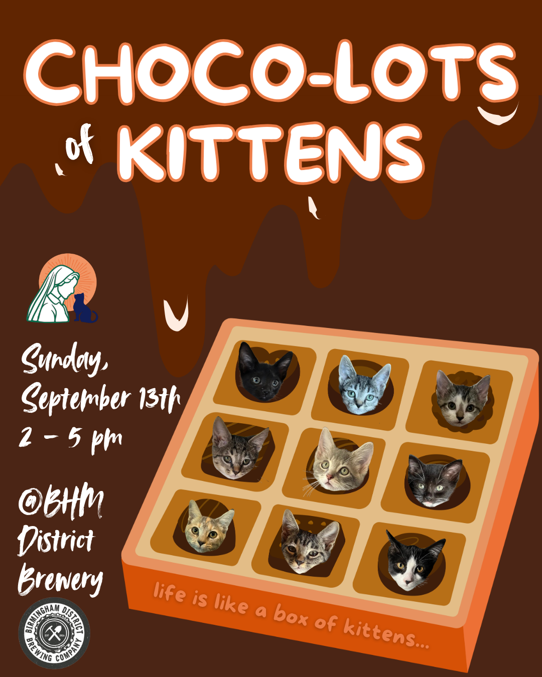 Chocolate Kitten Cuddle.png