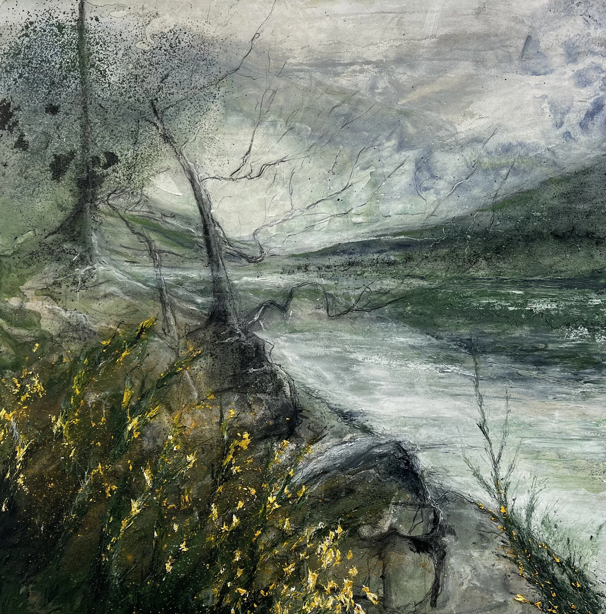 Whins Blossom,  Loch Voil.   2023