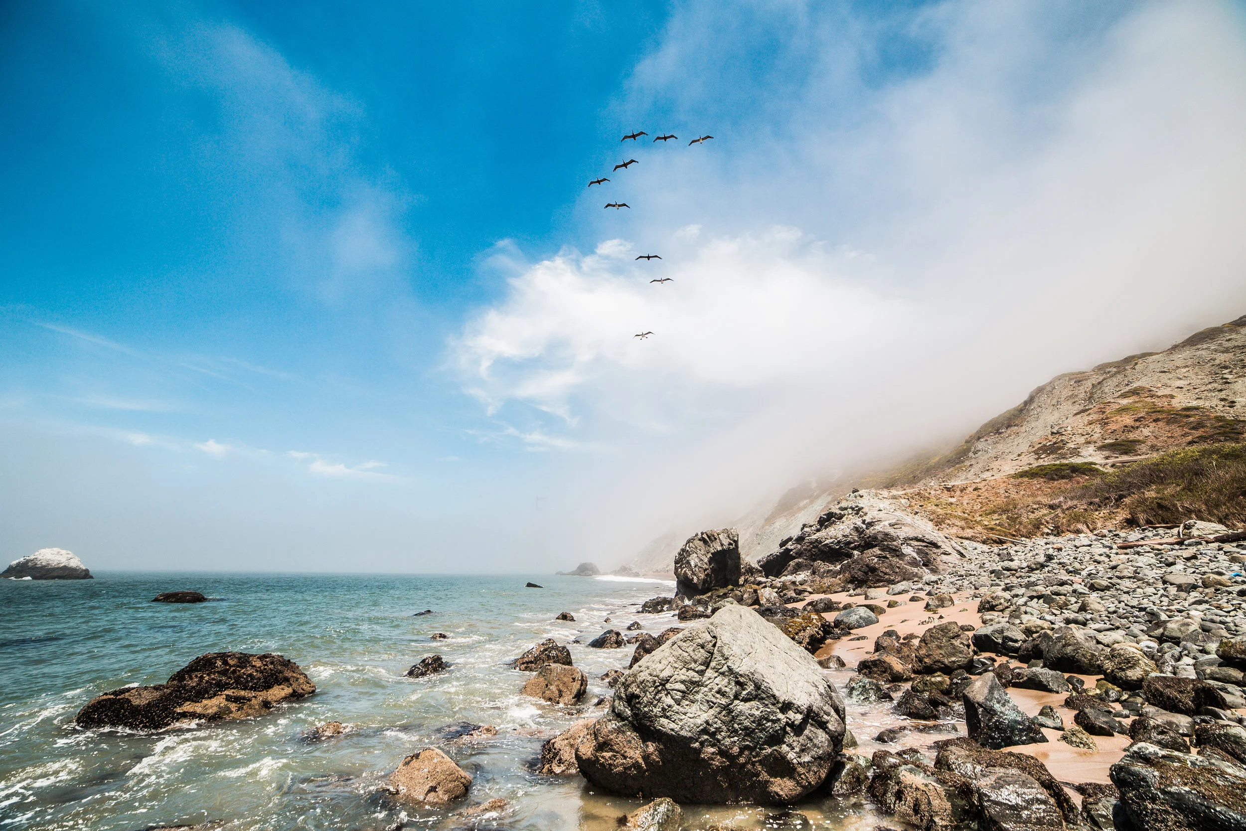 9-birds-flying-along-the-ocean-shoreline-picjumbo-com.jpg