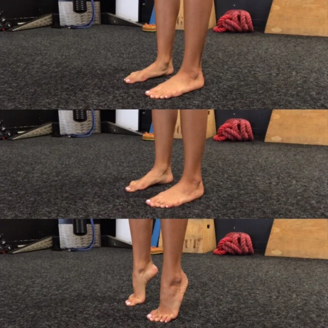 Figure 1: Double leg heel raise 3x25 