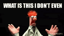 6.gif