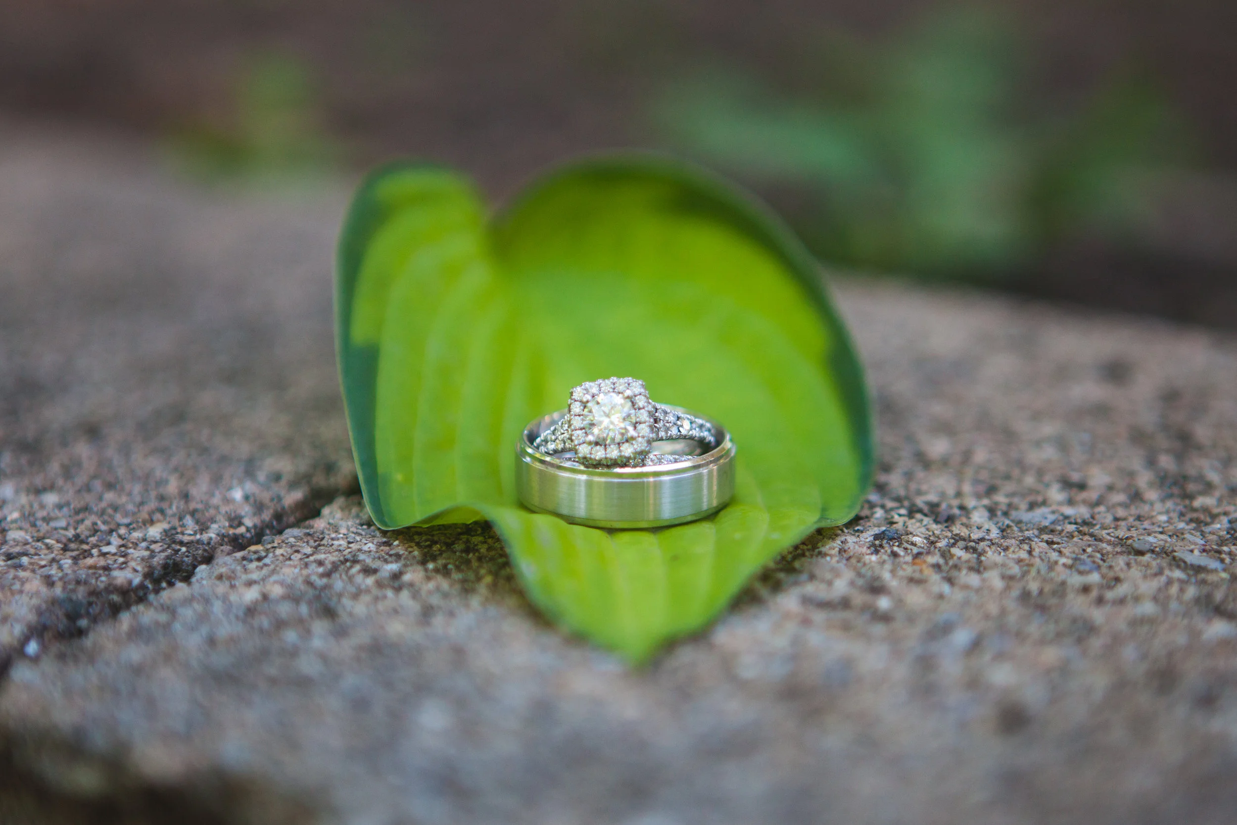 Crystal + Luke 7-1.jpg