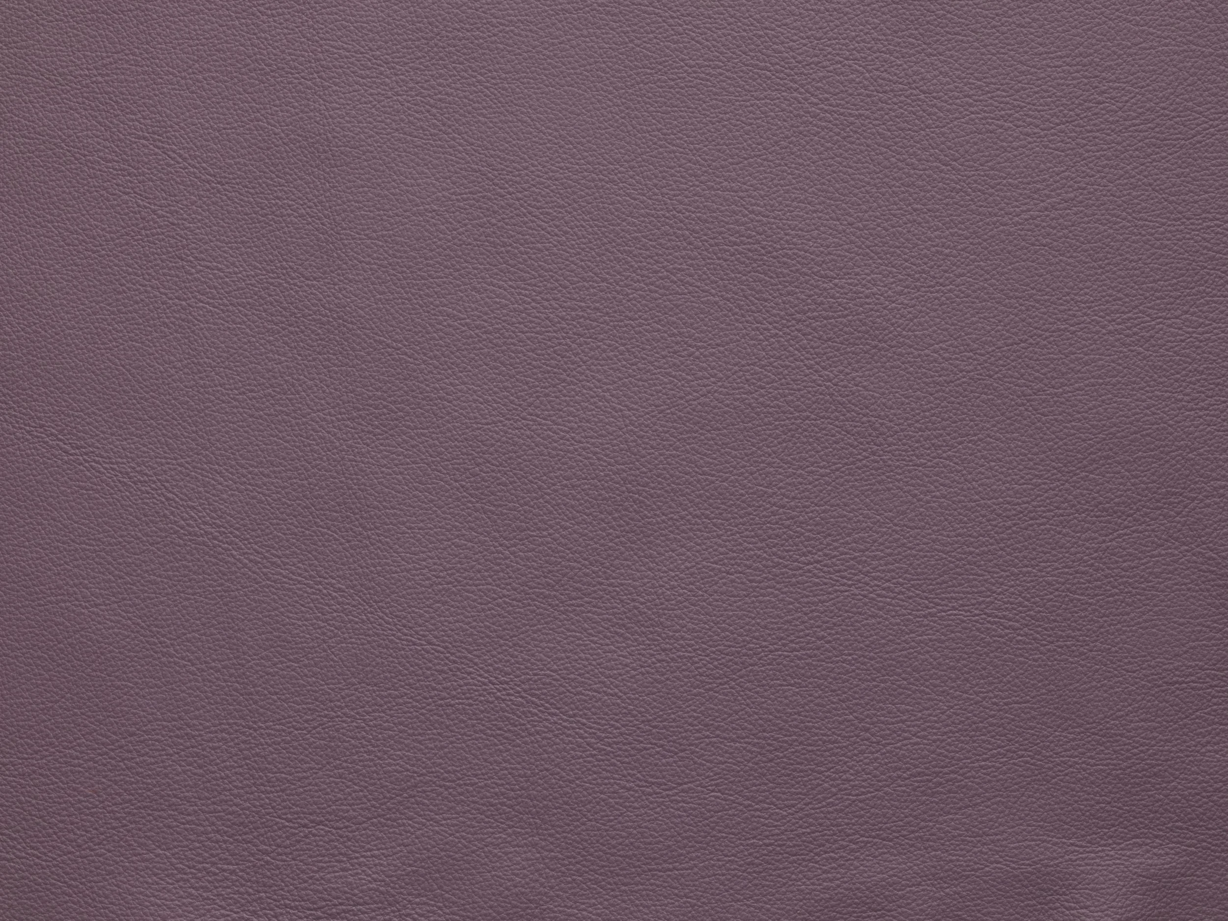 Plum Purple