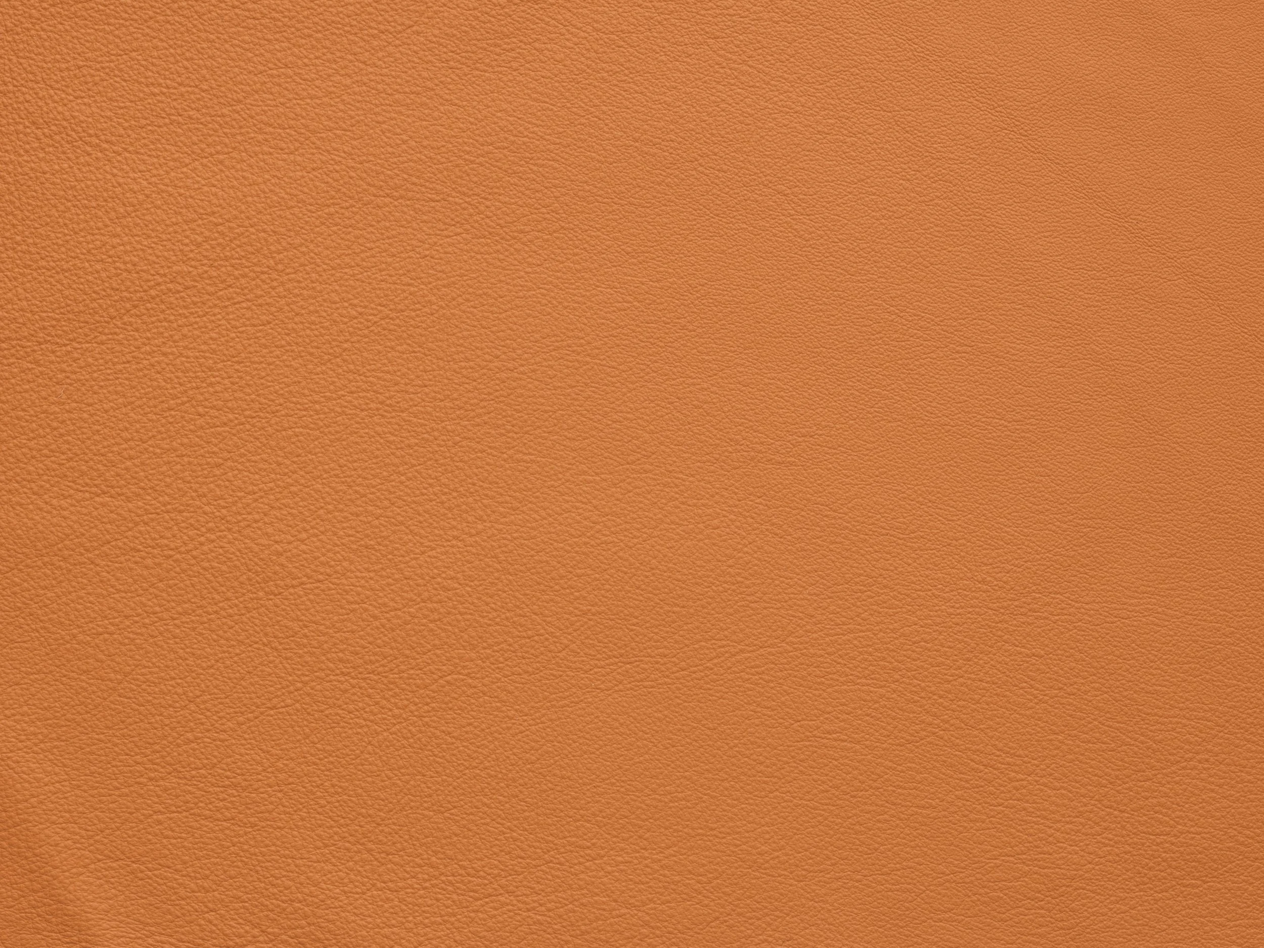 Apricot Orange