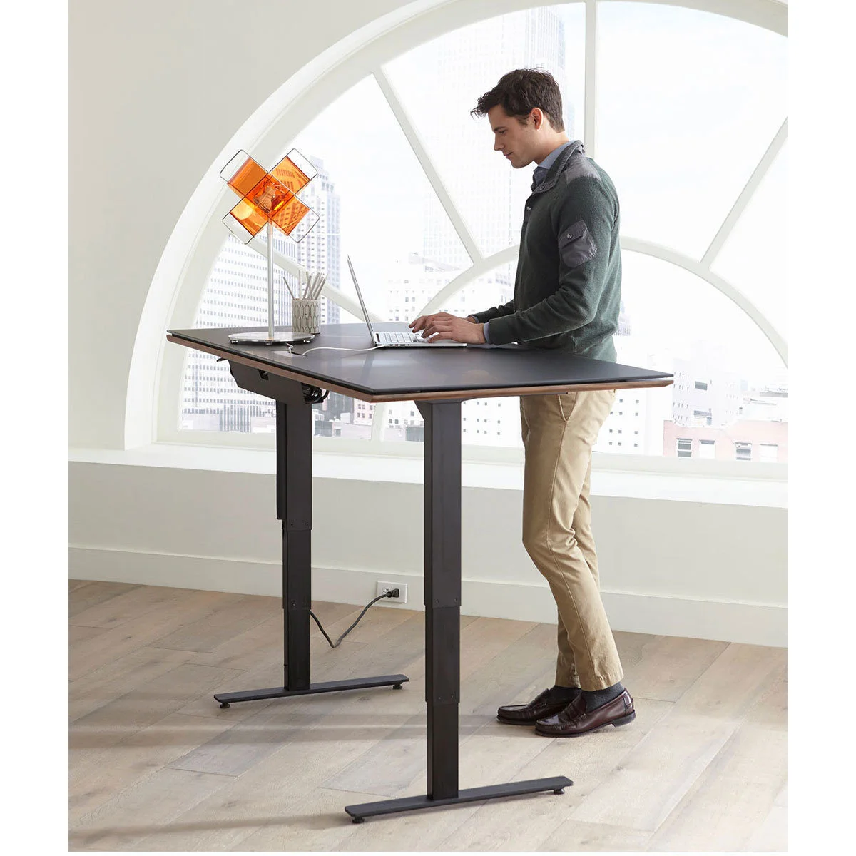 BDI Standing Desk
