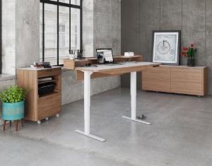 kronos_office_BDI_standing_desk_2 (2).jpg