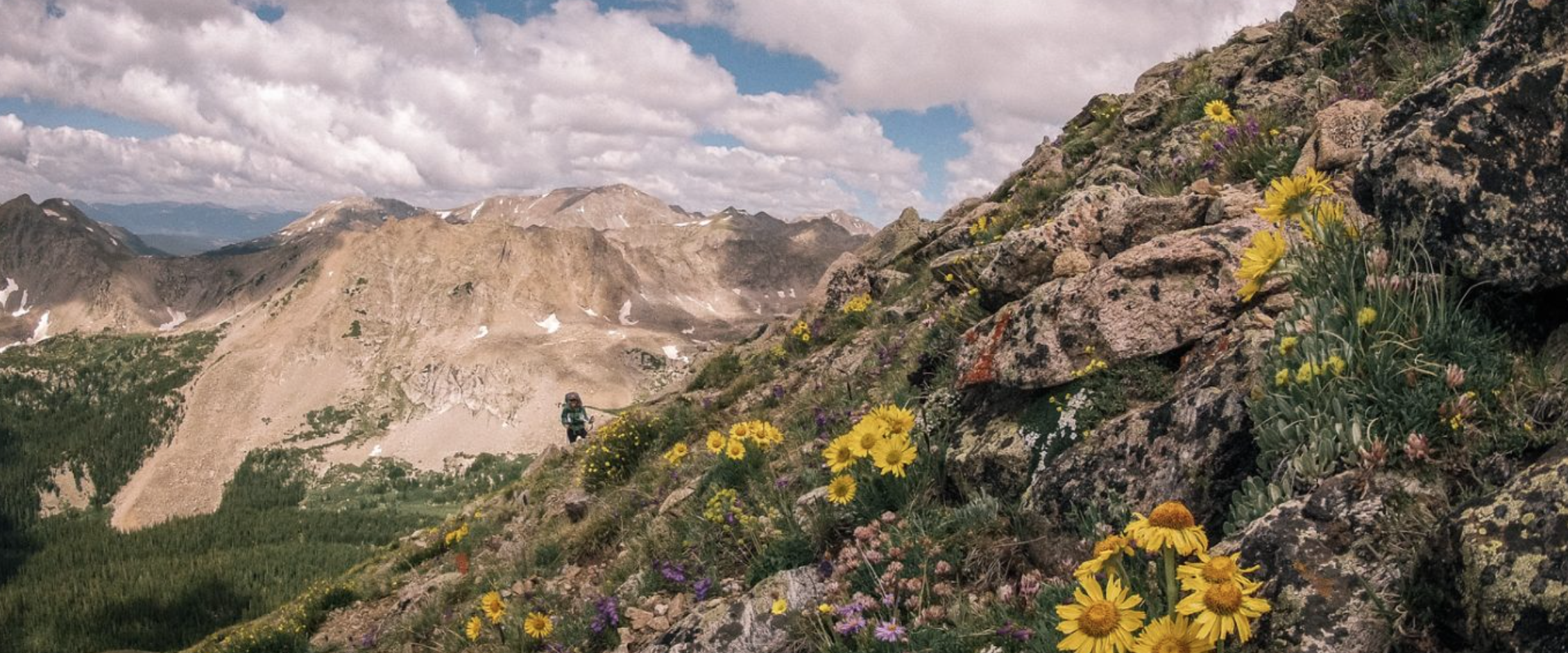 Mount Columbia Summit Trail – Becoming an Enjoyable 14er