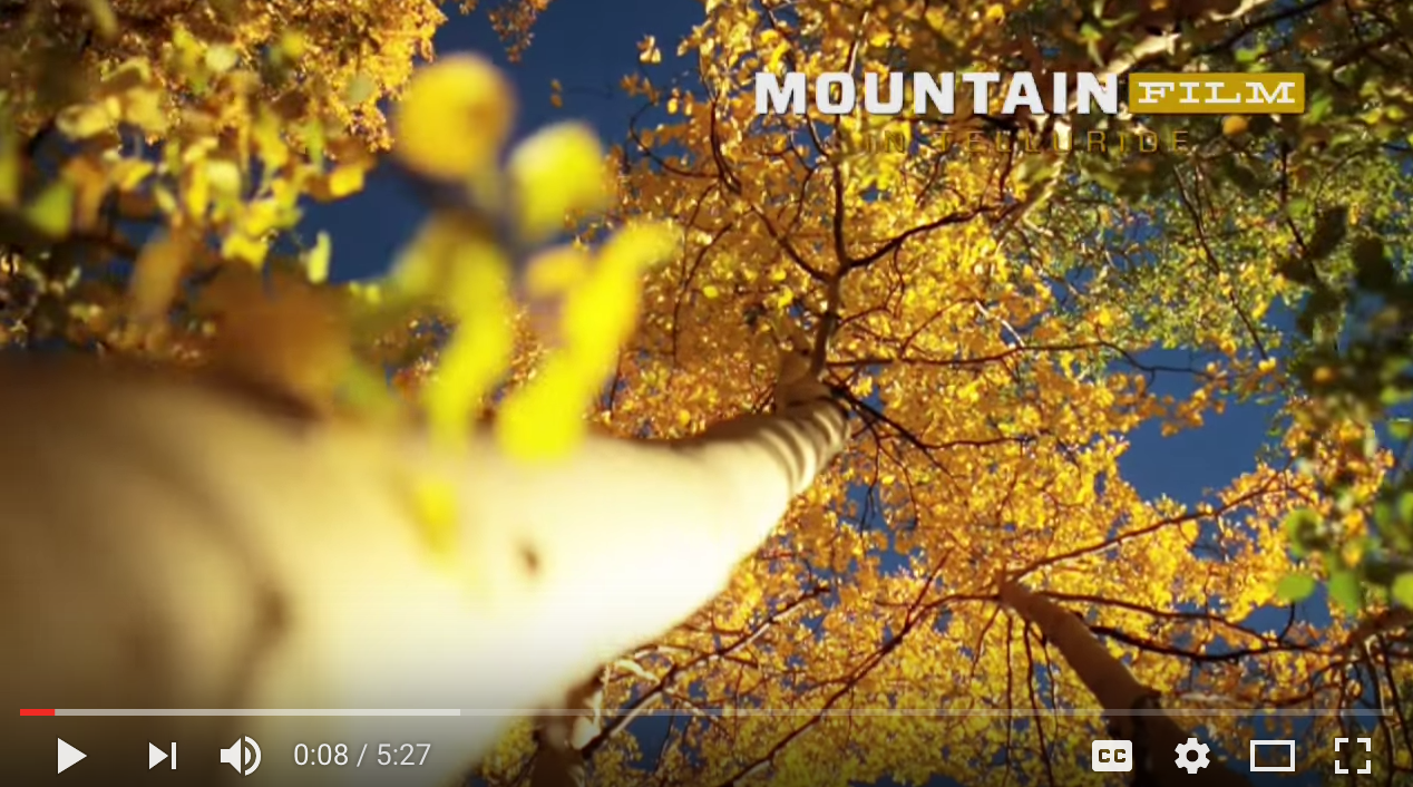 Ophthalmologist Dr. Geoff Tabin Interview at Mountainfilm