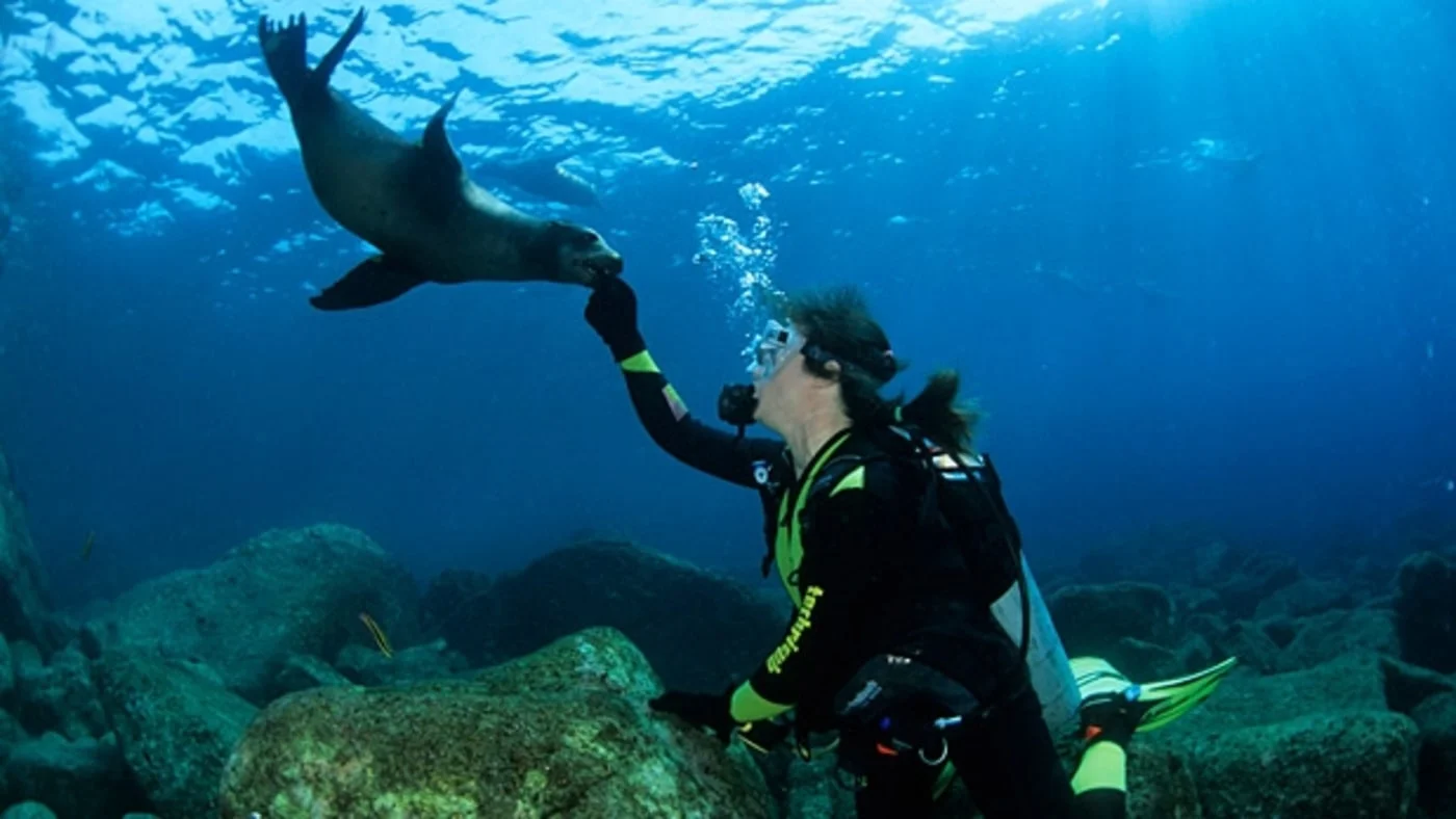 Tracking Whale Sharks in the Sea of Cortez