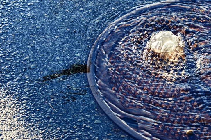 iStock-478255500.jpg