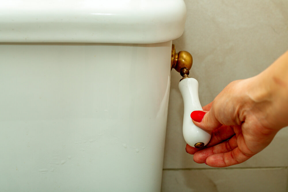 16 Things You Should Never Flush Down The Toilet — Wastewater Transport  Services