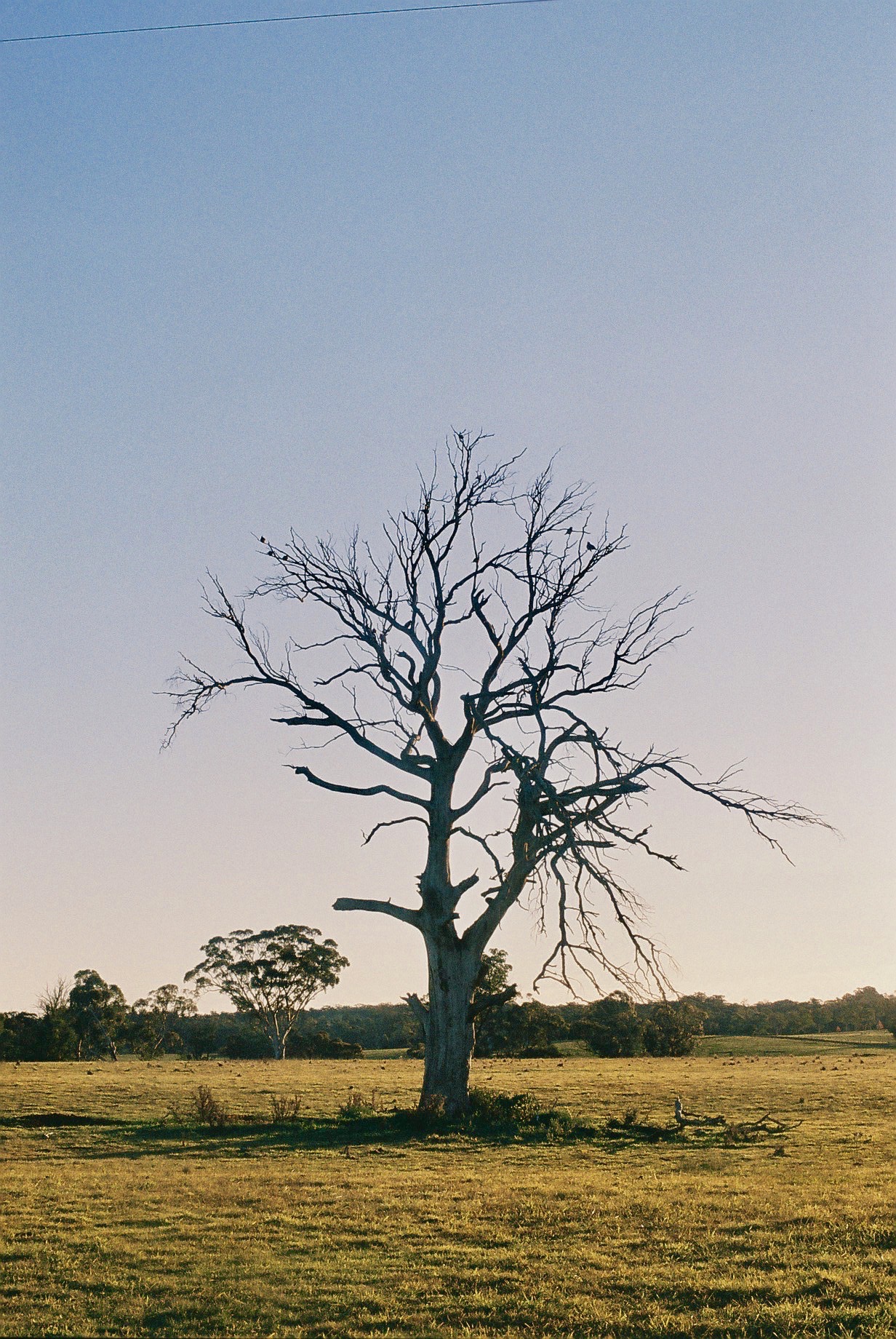 CNV000019.jpg
