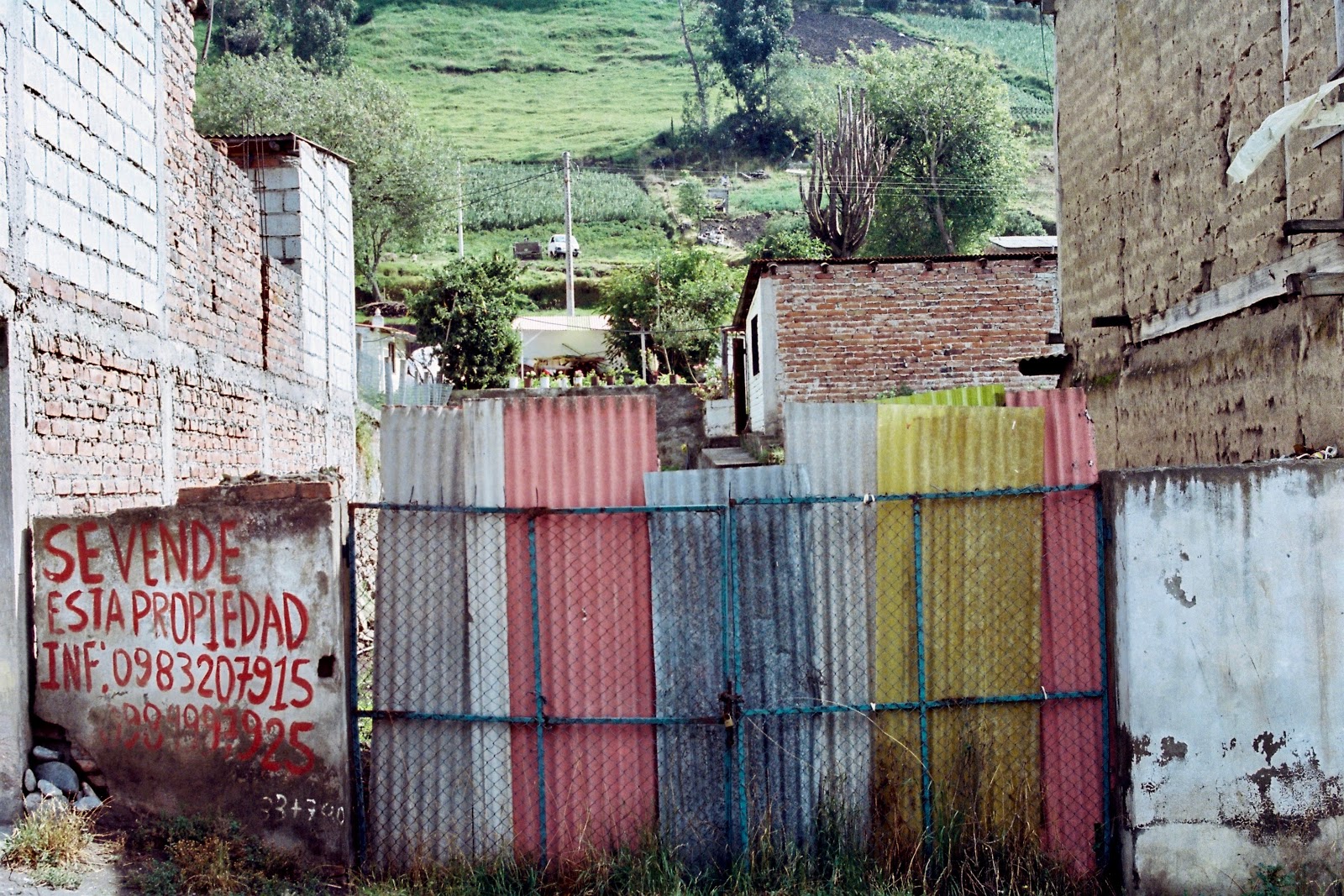 F1000005.jpg
