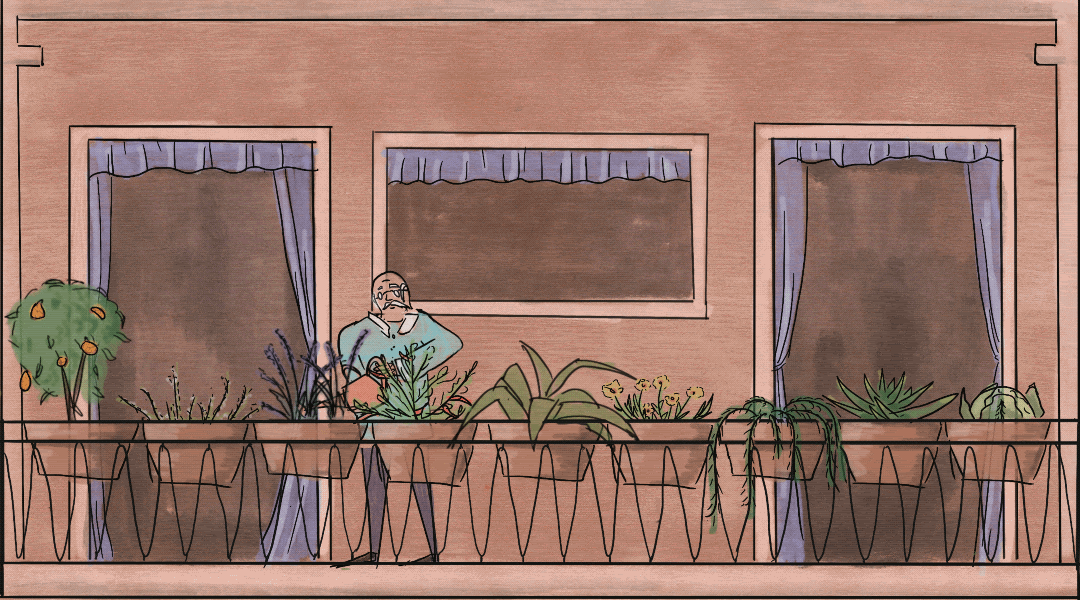 Plant Watering.gif