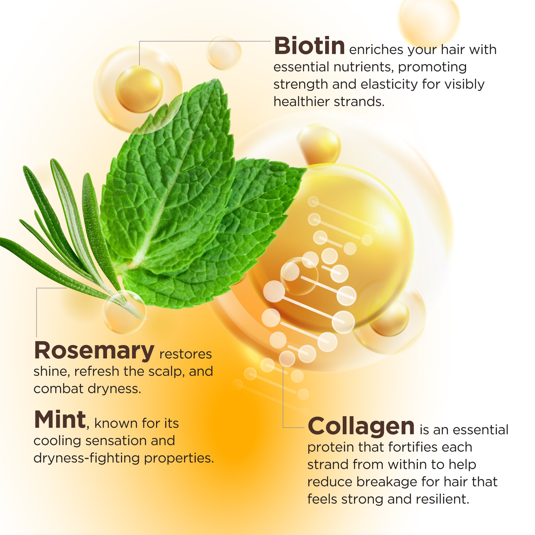 Biotin images-01.jpg