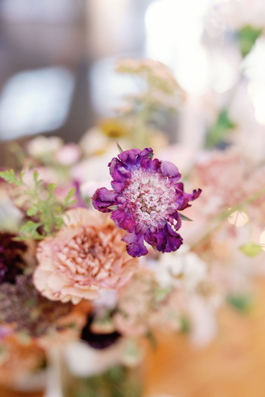 previews-6.jpg