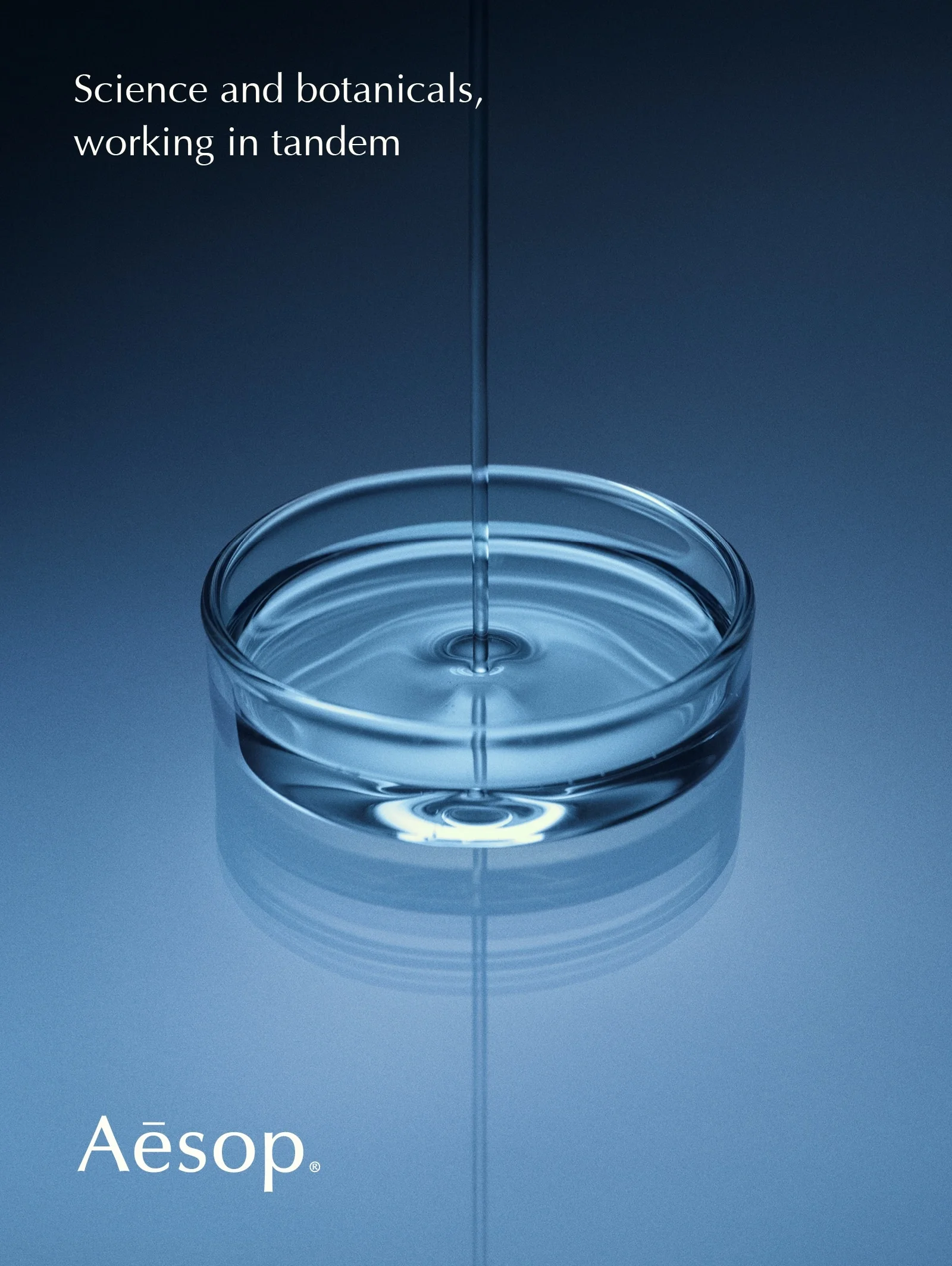 Aesop_Resolute_Casestudy_Images3.webp