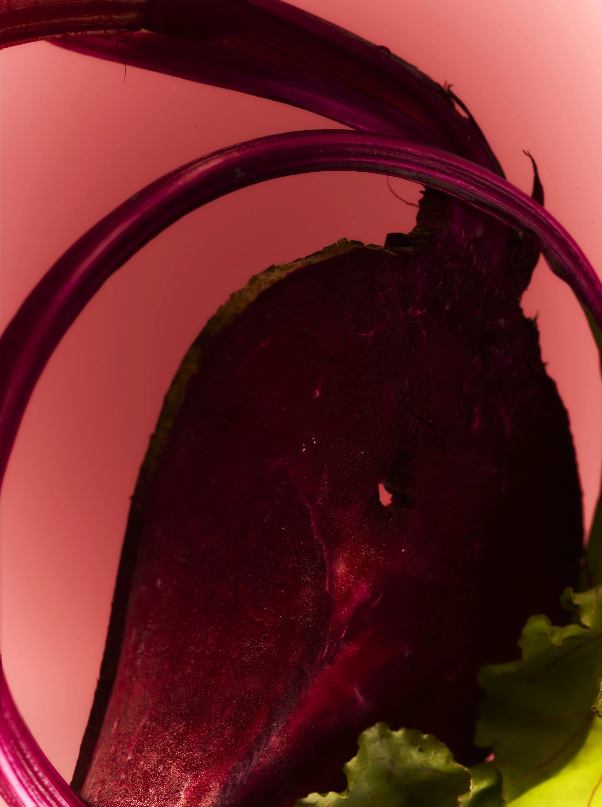 260515_YOM_08_BEETROOT_TESTS_151_STACK02.jpg