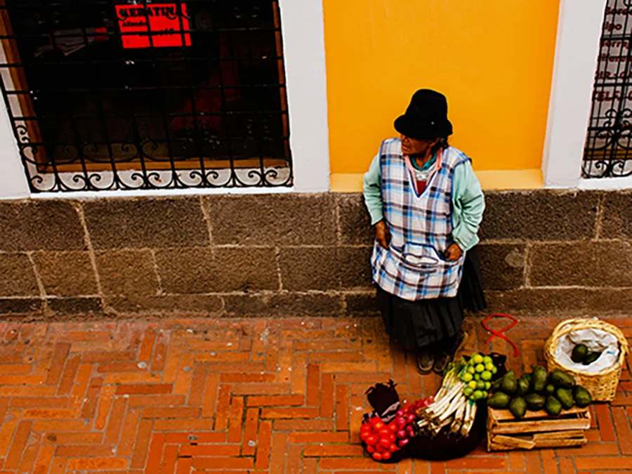 Among the main beneficiaries of 21st century socialism are the rural poor, and they comprise a significant proportion of Lenin Moreno's supporters. (Hamdi Issawi)