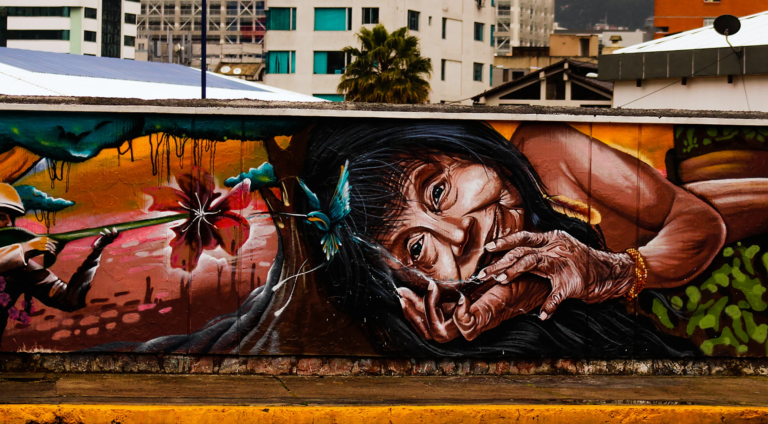 Many of the Quito murals express political ideals, acting as a mute but powerful form of resistance. (Sierra Bilton)