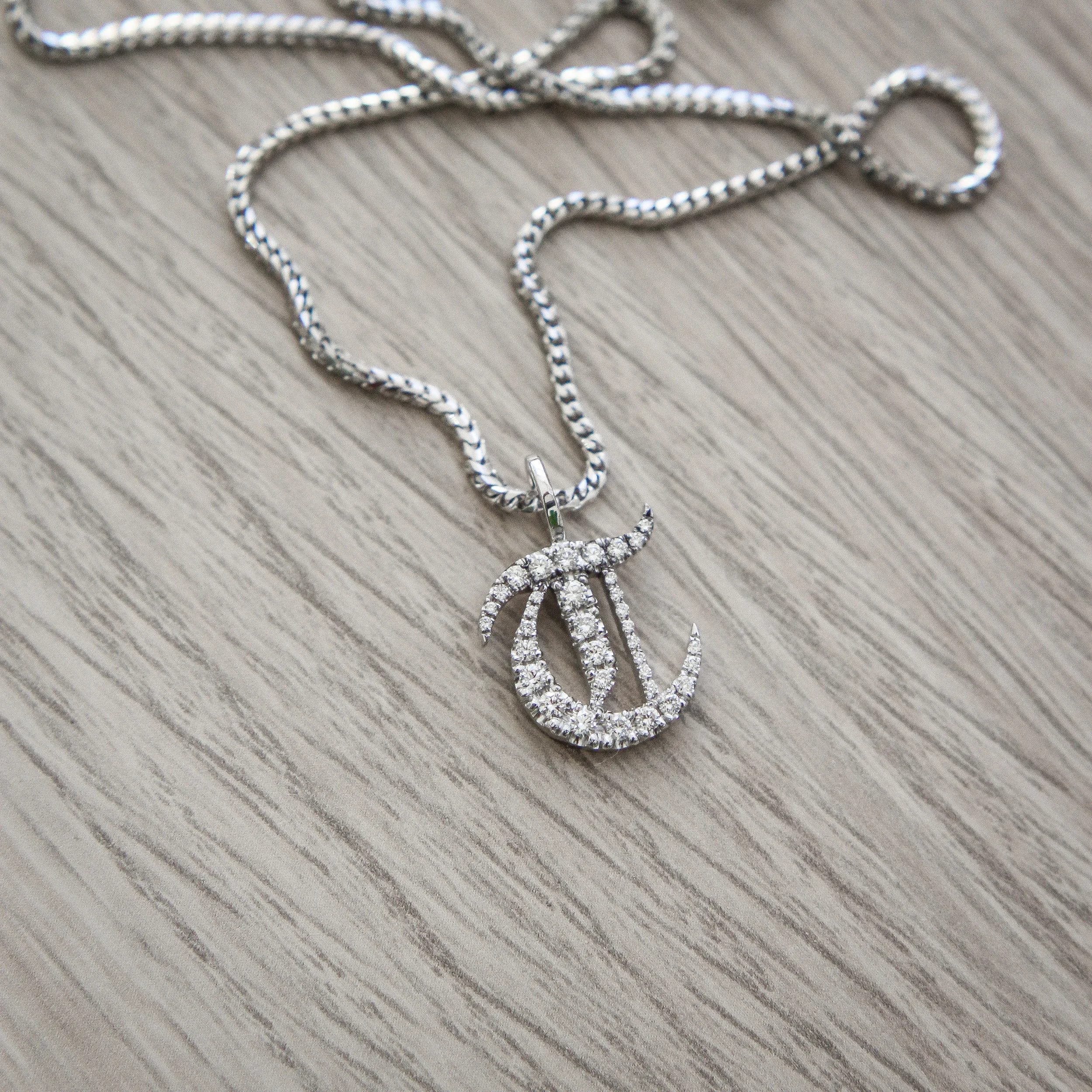 Nameplate Initial with Diamonds_Shayan Afshar.jpg