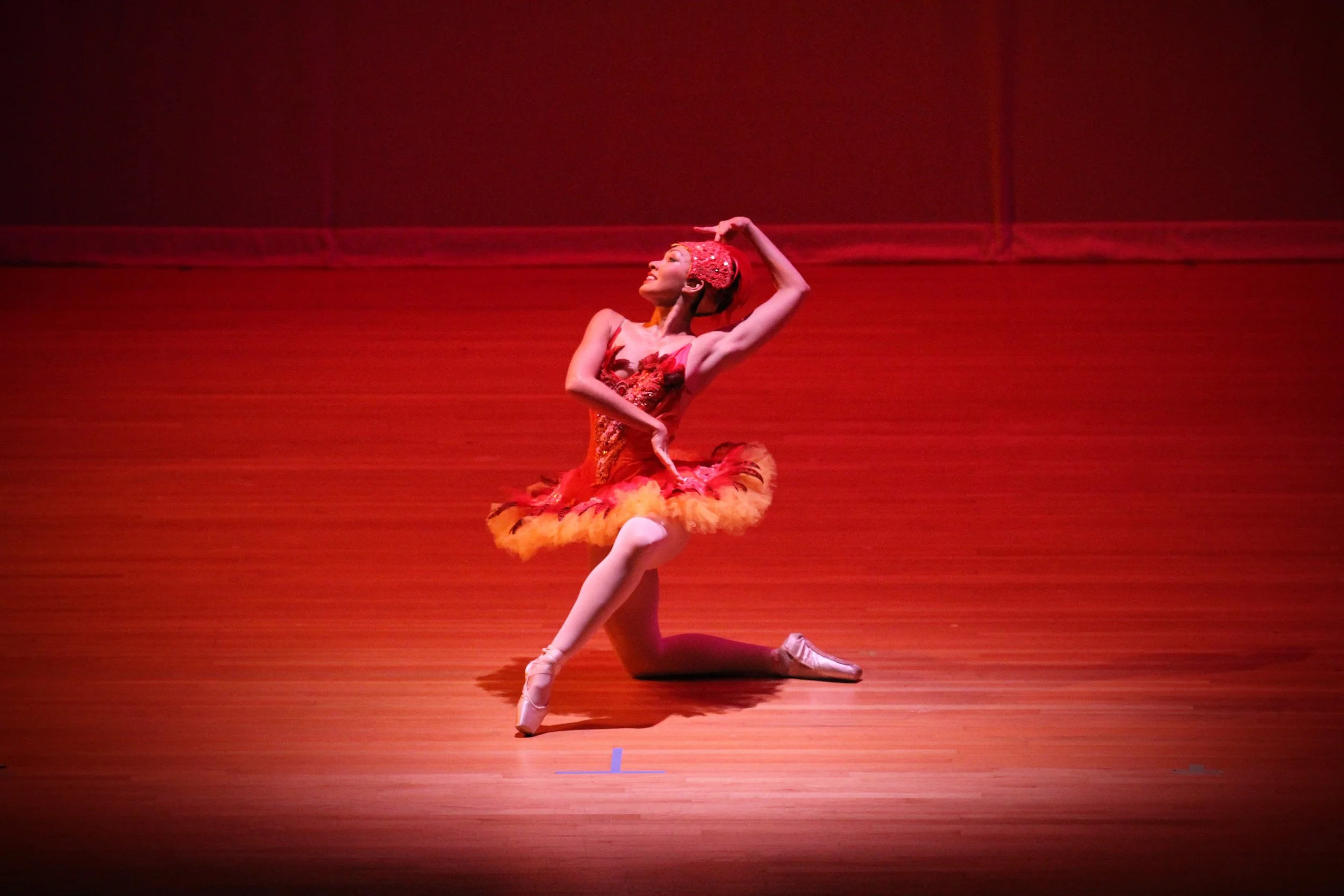 IMG_Firebird Solo 044.jpg