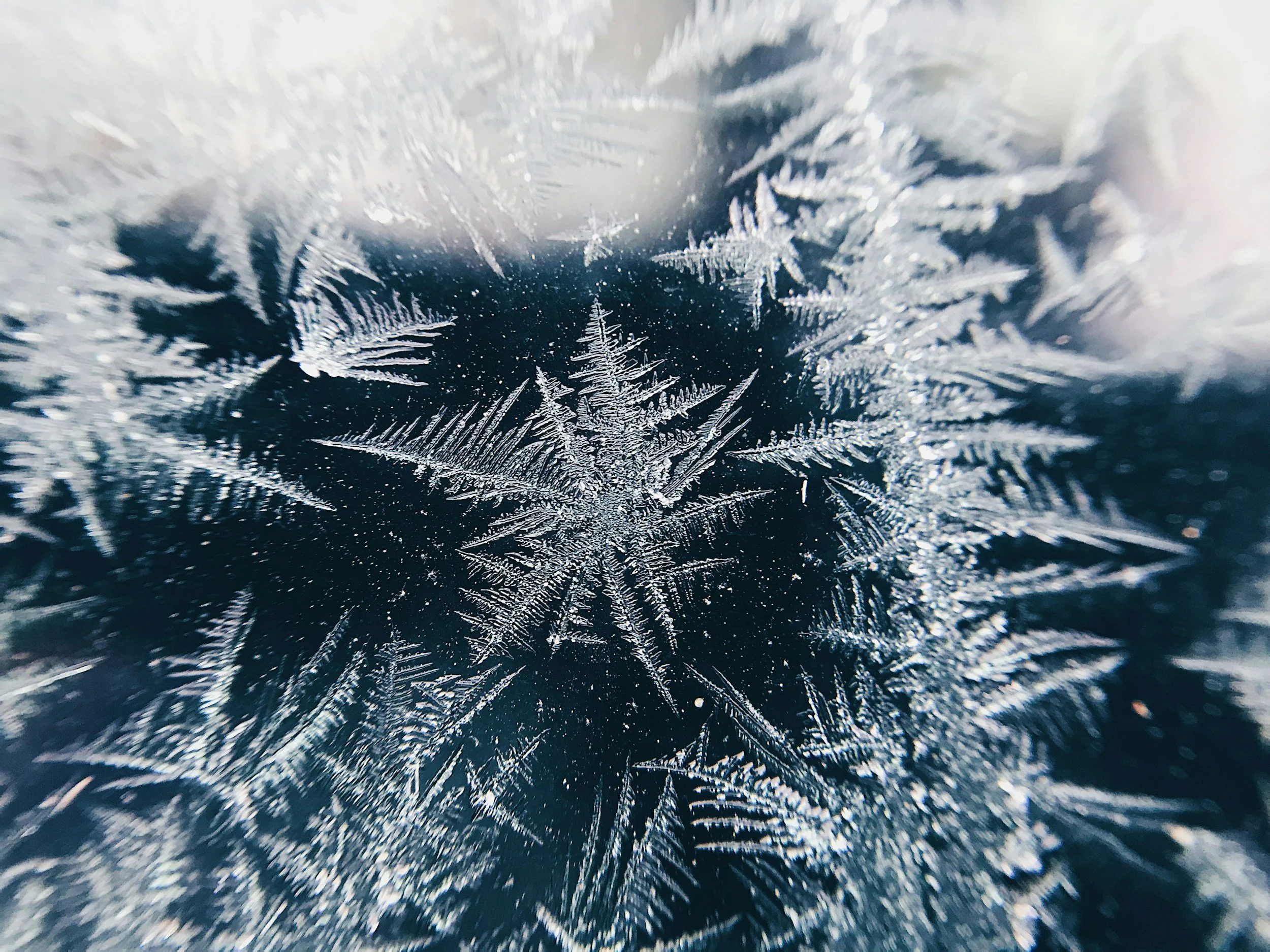 unsplash-image-nYYsLfGaf7w.jpg