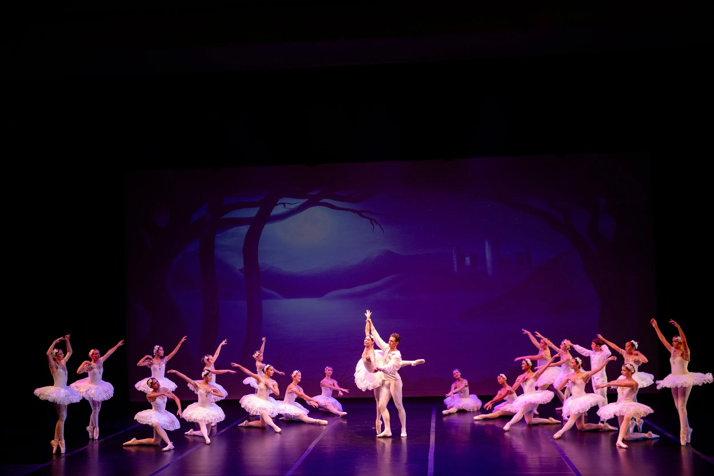 SwanLake-498.jpg